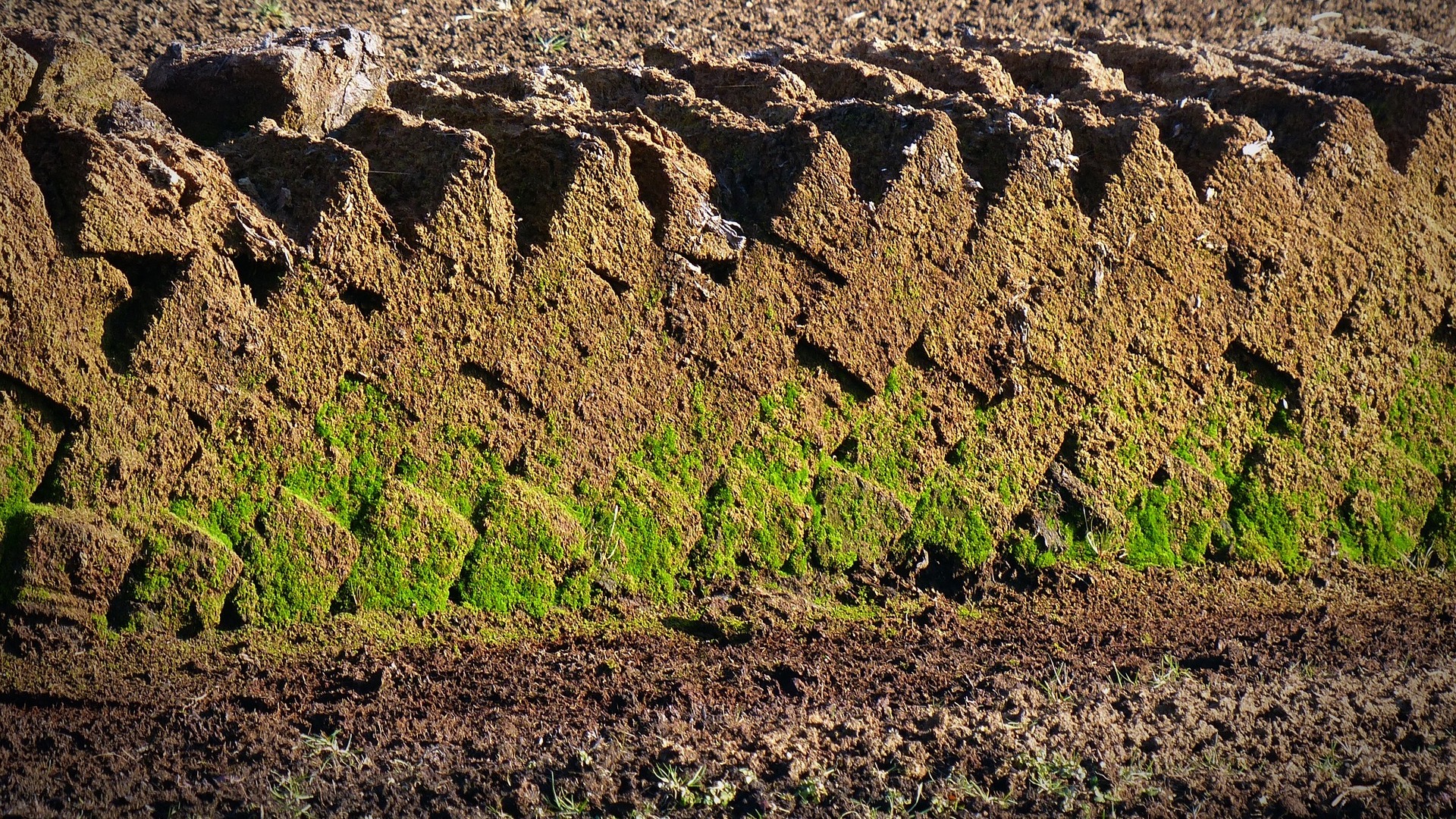 K čemu se používá rašelina