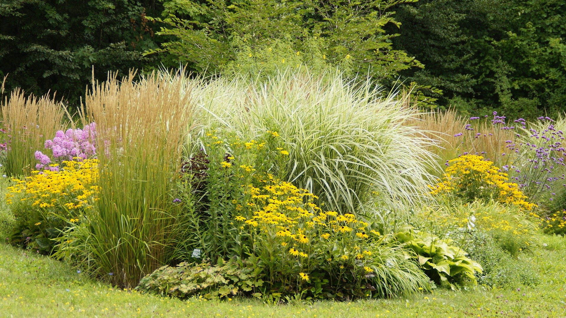 Jak založit trvalkový záhon