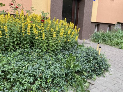Společenství vlastníků