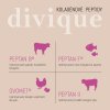 divigue infografika3