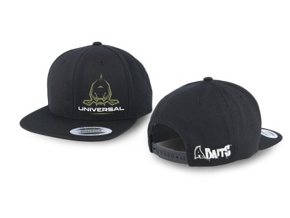 FLEXFIT black snapback universal