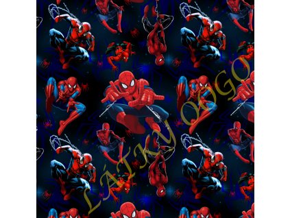 spider logo