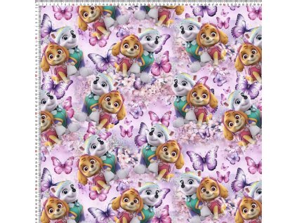 Obrázek WhatsApp, 2025 05 22 v 11.31.09 c63e22f0