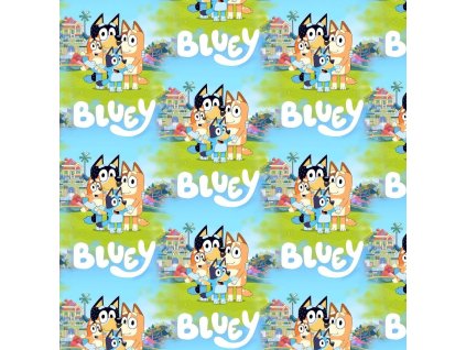 WhatsApp Image 2026 01 22 at 18.30.16