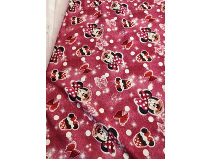 Obrázek WhatsApp, 2025 11 13 v 10.12.39 40e6ab5f