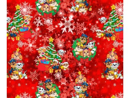 Obrázek WhatsApp, 2025 11 20 v 16.28.02 b1075021