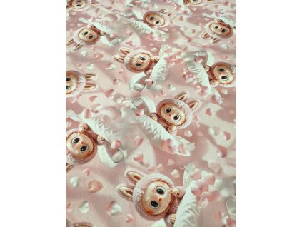 Obrázek WhatsApp, 2025 12 02 v 12.30.09 7f63eb96