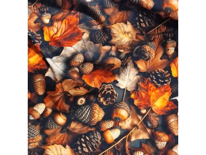 WhatsApp Image 2025 12 17 at 08.24.55