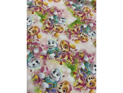 623881027 2717899031881363 8700254454685392230 n