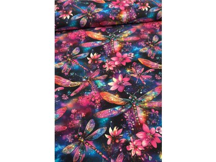 WhatsApp Image 2026 02 19 at 17.20.11