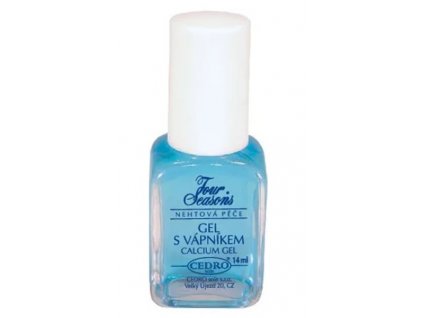 fourseasons s vapnikem