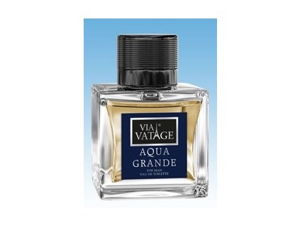 BI-ES parfémová voda Via Vatage Aqua Grande 100 ml - TESTER