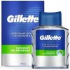 Gillette voda po holení Cool Wave 100 ml