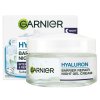 garnier hyaluron night