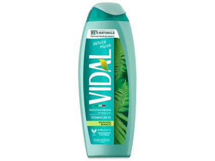 Vidal muschio