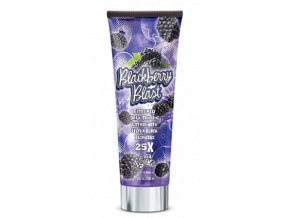 Fiesta Sun Blackberry Blast 236ml