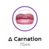 Avon Rtěnka True Colour Carnation 11544 3,6g