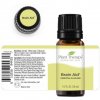 Plant Therapy Brain Aid esenciální olej 10ml 1