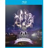 AEROSMITH ROCKS DONINGTON 2014 BLURAY