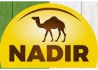 NADIR