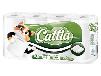 580536545 25650743081197699 9144628070644955931 n