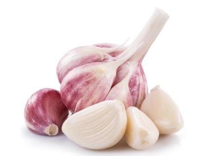 5861 cesnek 1 palicka