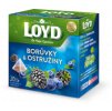 Loyd Pyramida Borůvky & Ostružiny 20x2g