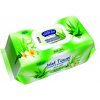 Fresh Air vlhčené ubrousky 120ks klip aloe vera
