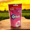 Orbit Bubblemint žvýkačky 58 g sáček