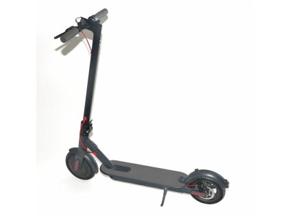 Elektrická koloběžka Capriolo E-4 BLDC 36V/350W černá