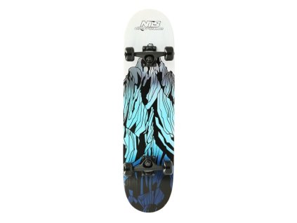 Skateboard NILS Extreme CR3108 Mountain