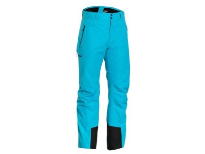 Kalhoty pánské dlouhé ATOMIC M SAVOR 2L GTX PANT lyžařské modré (Velikost M)