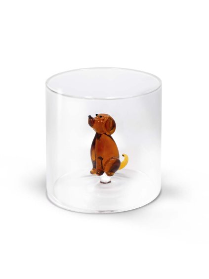 wd566can zswnbev3lm5ypqvo