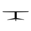 Jedálenský stôl Rayford black 230cm