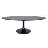 Jedálenský stôl Blax oval 250 cm (Black)