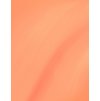 smr25 ecommerce jpg prideful peach swatch.jpg