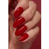 55 NE Color BigAppleRed Macro 2054