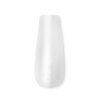 clear coffin profile 01.jpg