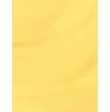 smr25 ecommerce jpg daffodil duck walk swatch.jpg