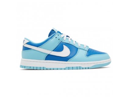 Nike Dunk Low Retro QS Argon 1