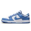 Nike Dunk Low Polar Blue