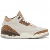 Jordan 3 Retro Palomino 1