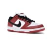 Nike SB Dunk Low Pro J Pack Chicago 2