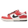 Nike Dunk Low Chicago Split 1