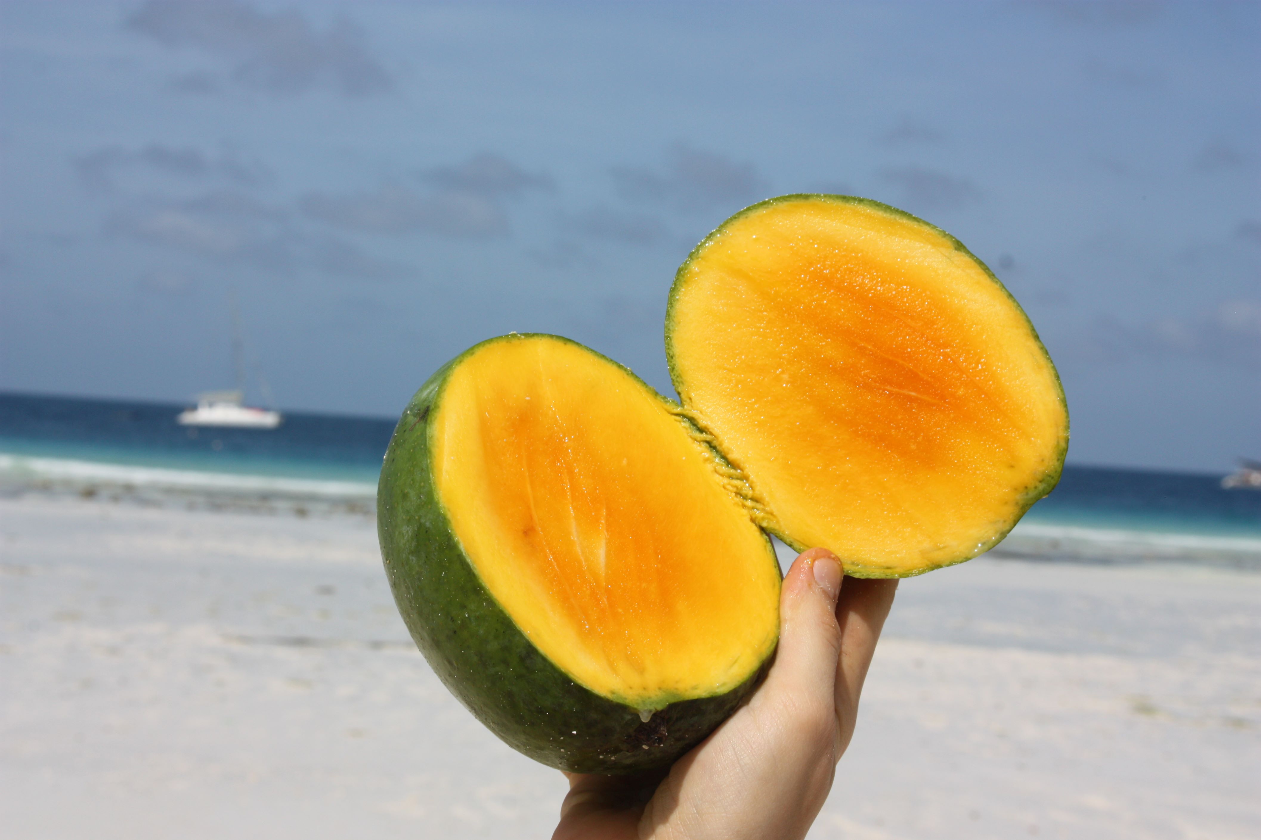 Celý plod manga