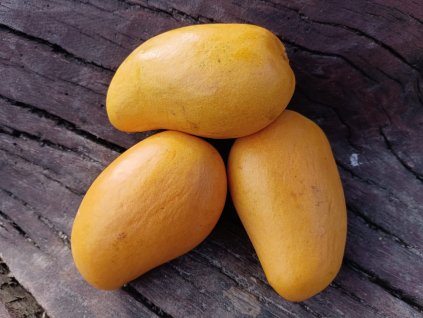 Mango čerstvé 350g