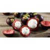 Mangosteen olup