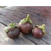 Mangosteen 1 ks