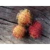 Rambutan 3ks