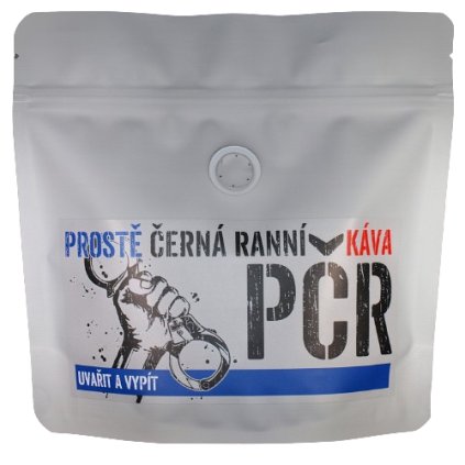 PCR predni bp 500